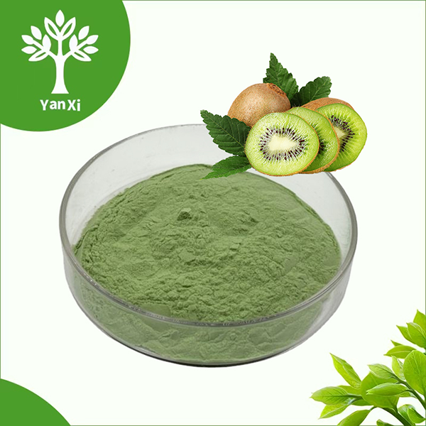 Freeze-Dried Kiwi Powder Bulk Freeze-Dried Kiwi Powder Bulk